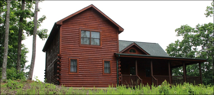 Professional Log Home Borate Application  Polk County, Georgia